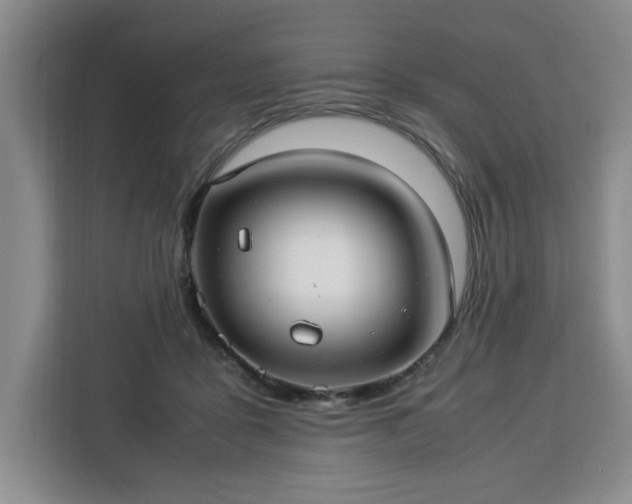 X0000112950411200908311513