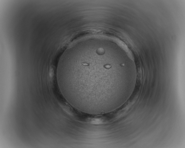 X0000112950412200908311513