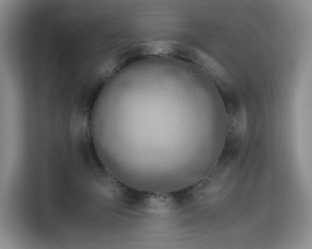 X0000112950415200908311513