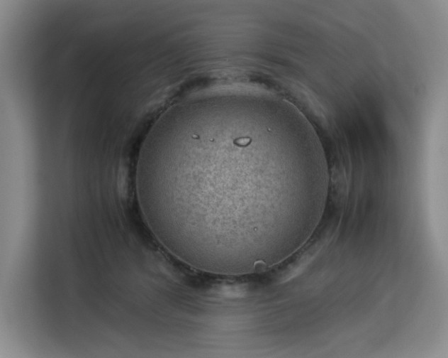 X0000112950416200908311513