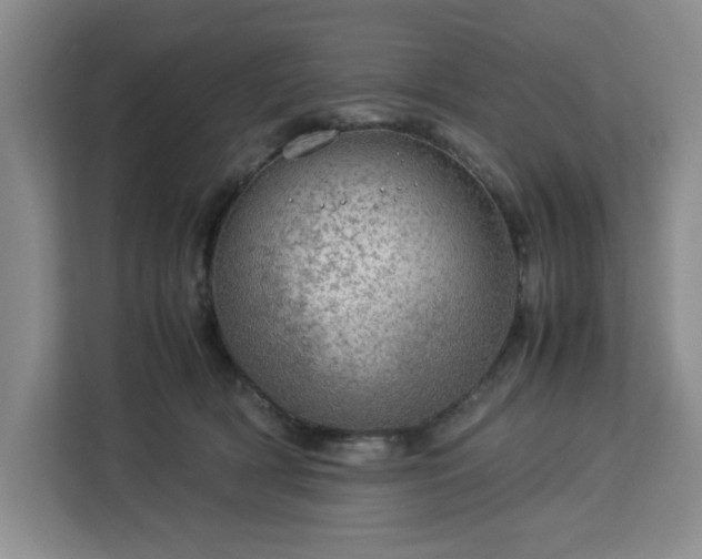 X0000112950418200908311513