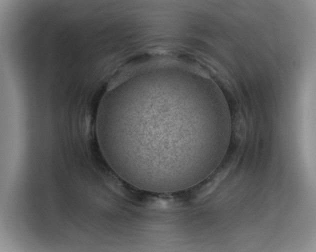 X0000112950420200908311513