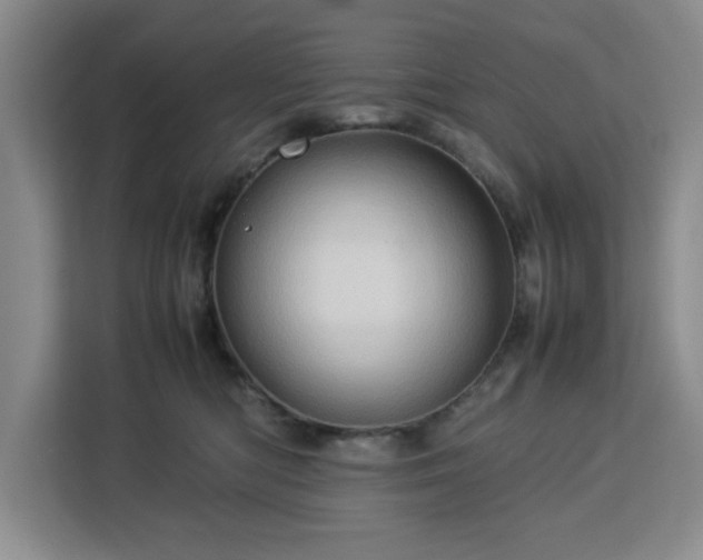 X0000112950422200908311513