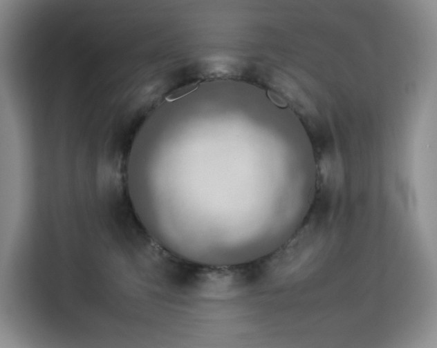 X0000112950423200908311513