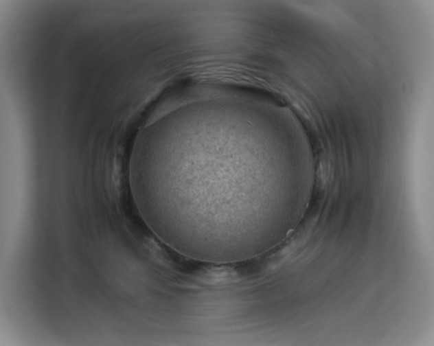 X0000112950424200908311513