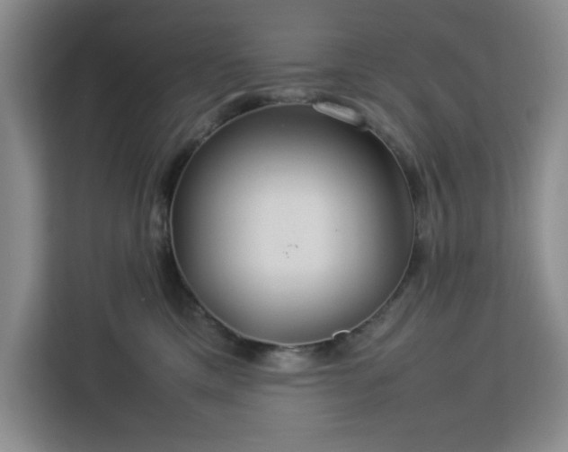 X0000112950425200908311513