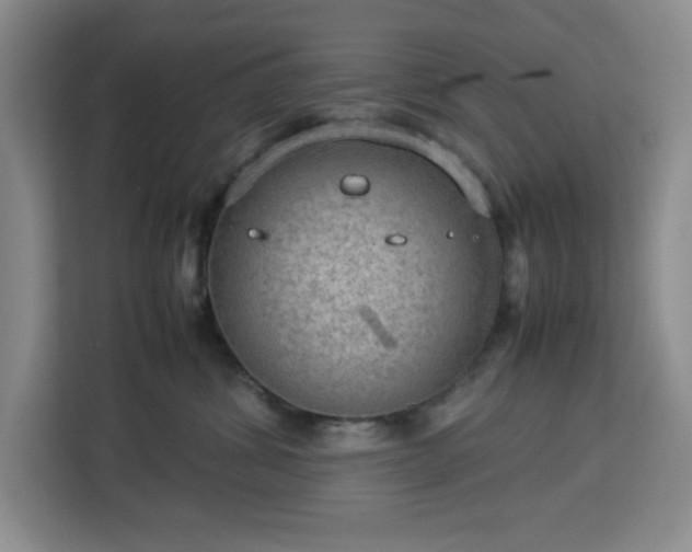 X0000112950428200908311513