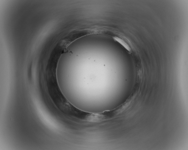 X0000112950429200908311513