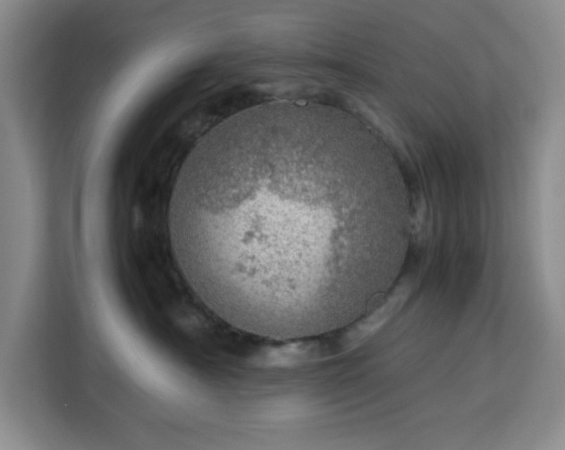 X0000112950430200908311513