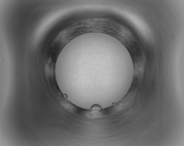 X0000112950431200908311513