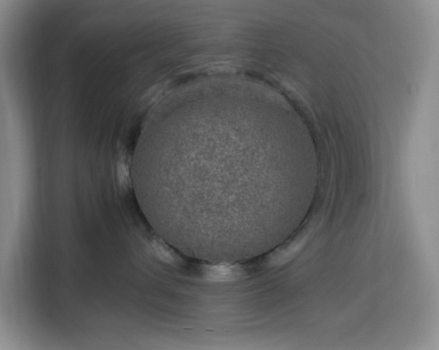 X0000112950432200908311513