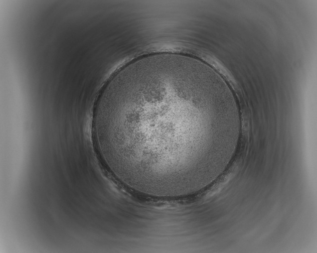 X0000112950434200908311512