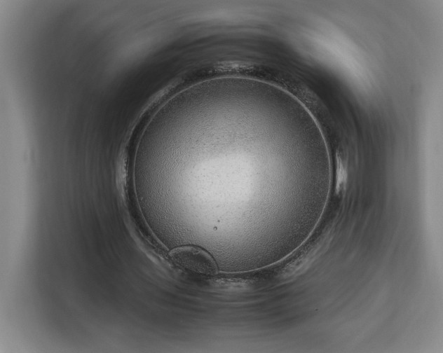 X0000112950435200908311512