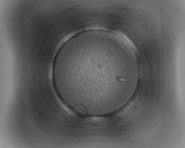 X0000112950437200908311512