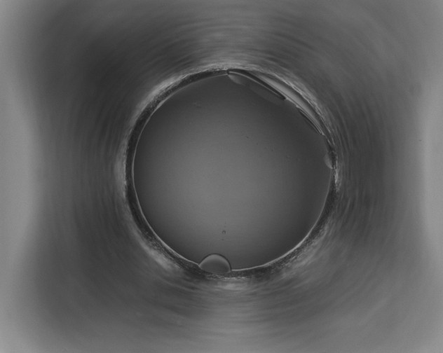 X0000112950438200908311512