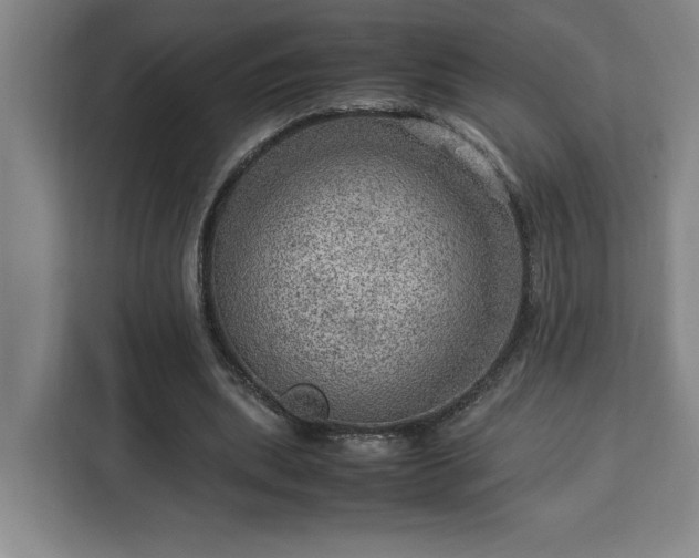 X0000112950439200908311512