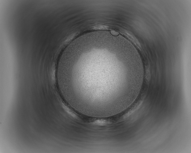 X0000112950441200908311512