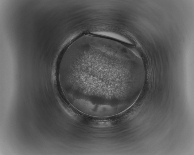 X0000112950443200908311512