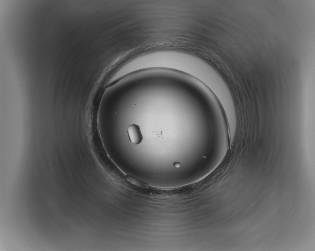 X0000112950444200908311512