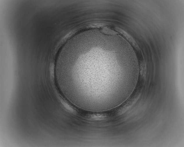 X0000112950445200908311512