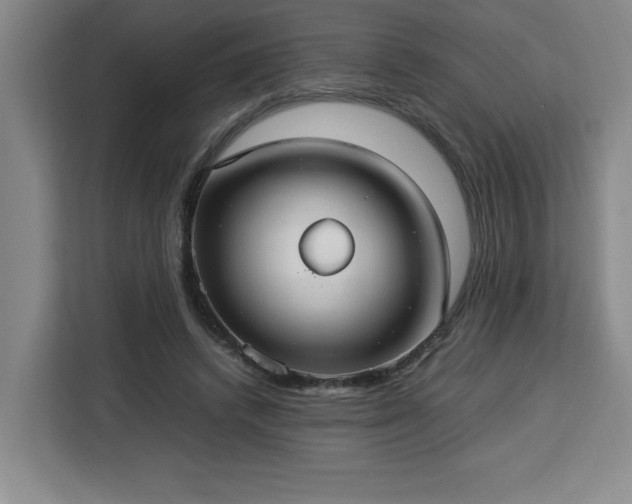 X0000112950448200908311513