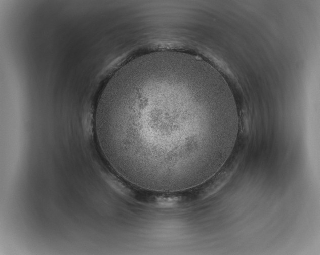 X0000112950450200908311513