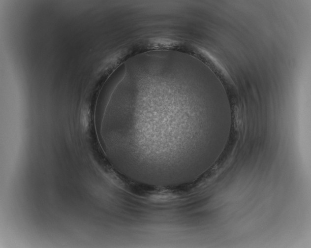 X0000112950451200908311513