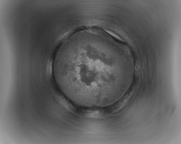 X0000112950454200908311513