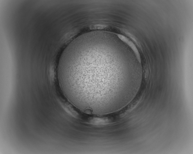 X0000112950455200908311513