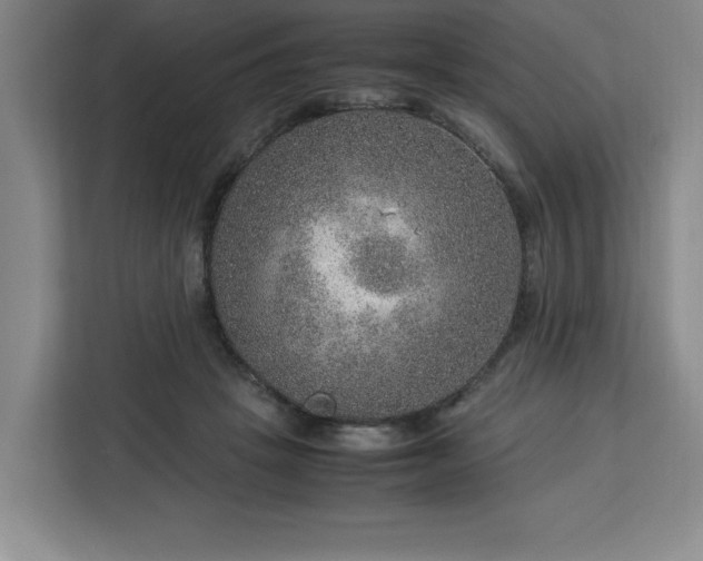 X0000112950457200908311513