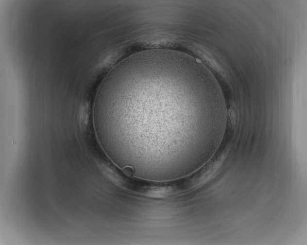 X0000112950458200908311513