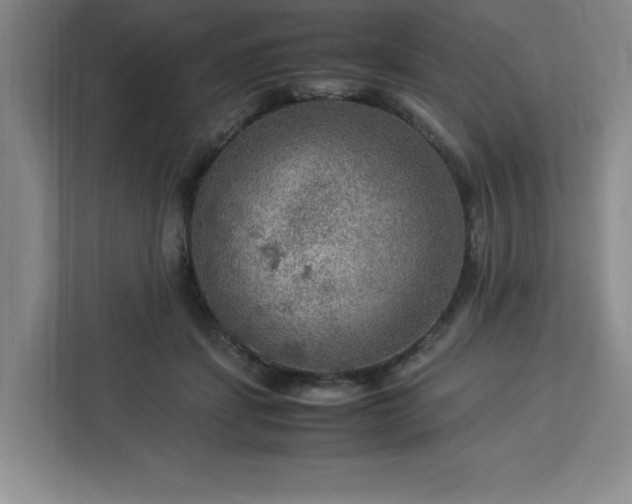 X0000112950459200908311513