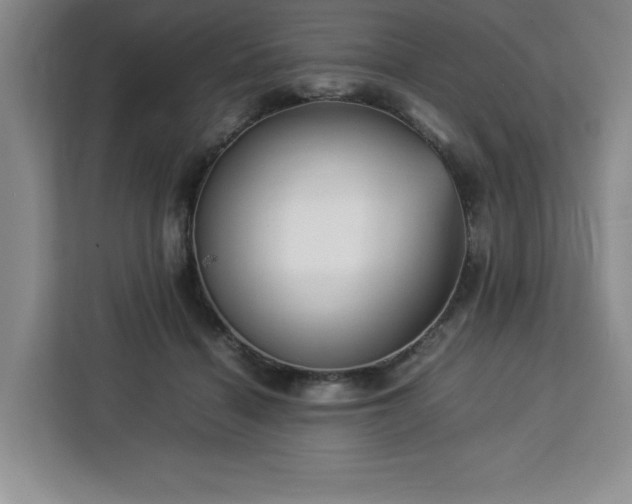 X0000112950460200908311513