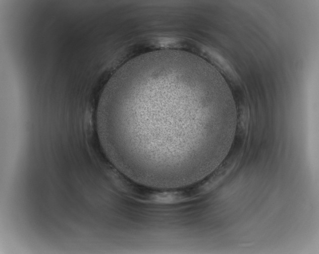 X0000112950461200908311513