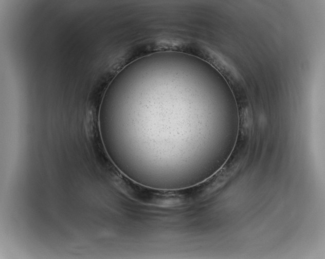 X0000112950463200908311513