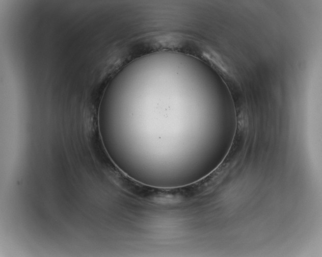 X0000112950464200908311513