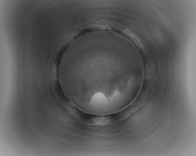 X0000112950465200908311513