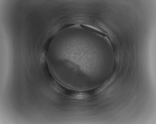 X0000112950467200908311513