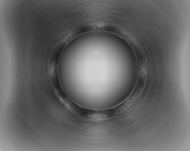 X0000112950468200908311513