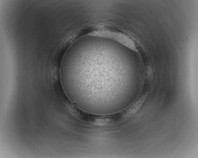 X0000112950470200908311513