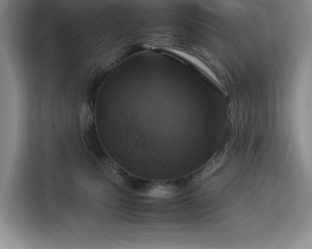 X0000112950471200908311513