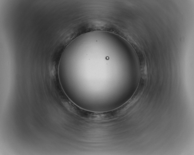 X0000112950472200908311513