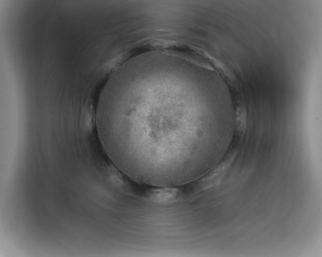 X0000112950474200908311513