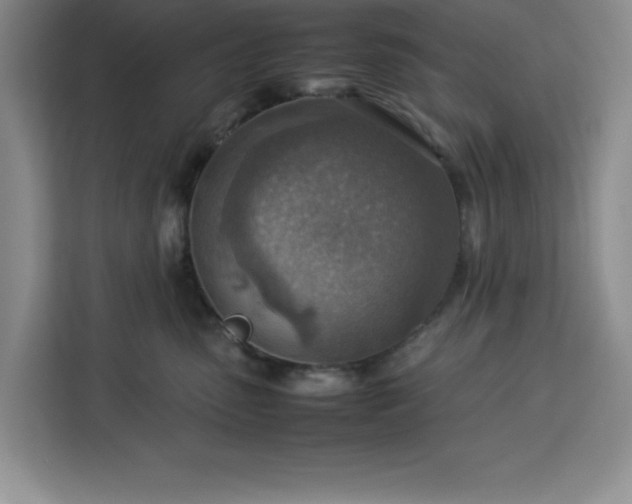 X0000112950475200908311513