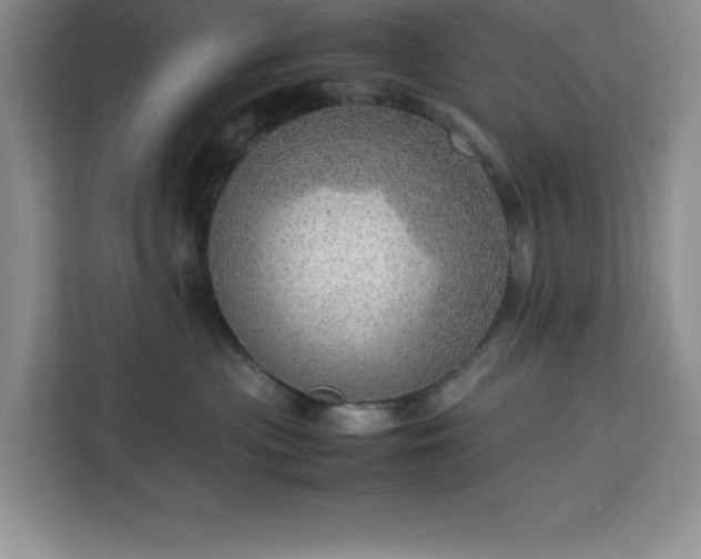 X0000112950477200908311513