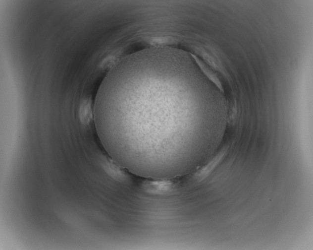 X0000112950478200908311513