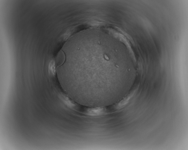 X0000112950479200908311513