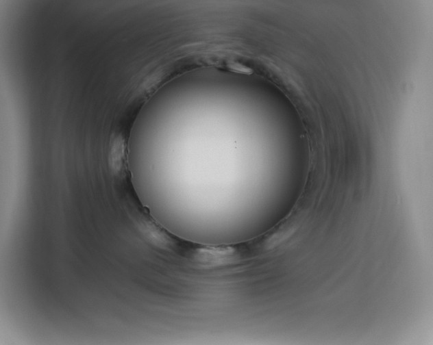 X0000112950480200908311513