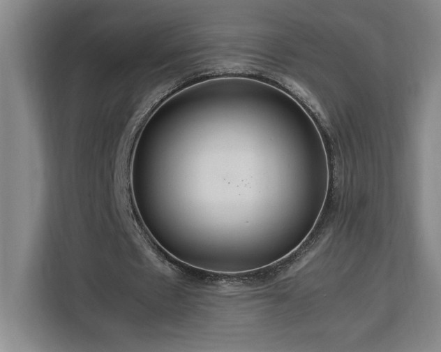 X0000112950481200908311512