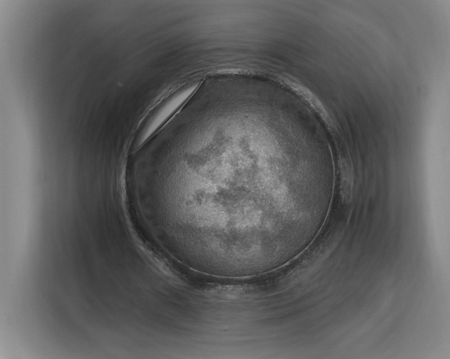 X0000112950482200908311512